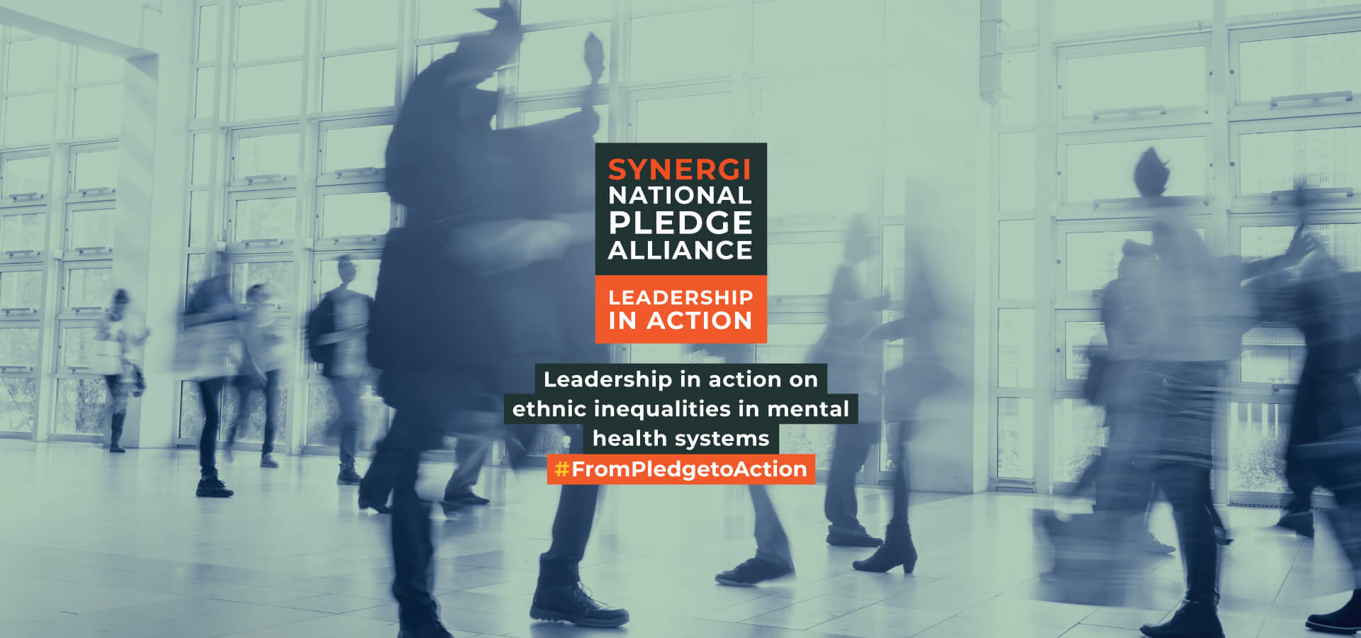 Synergi National Pledge Alliance
