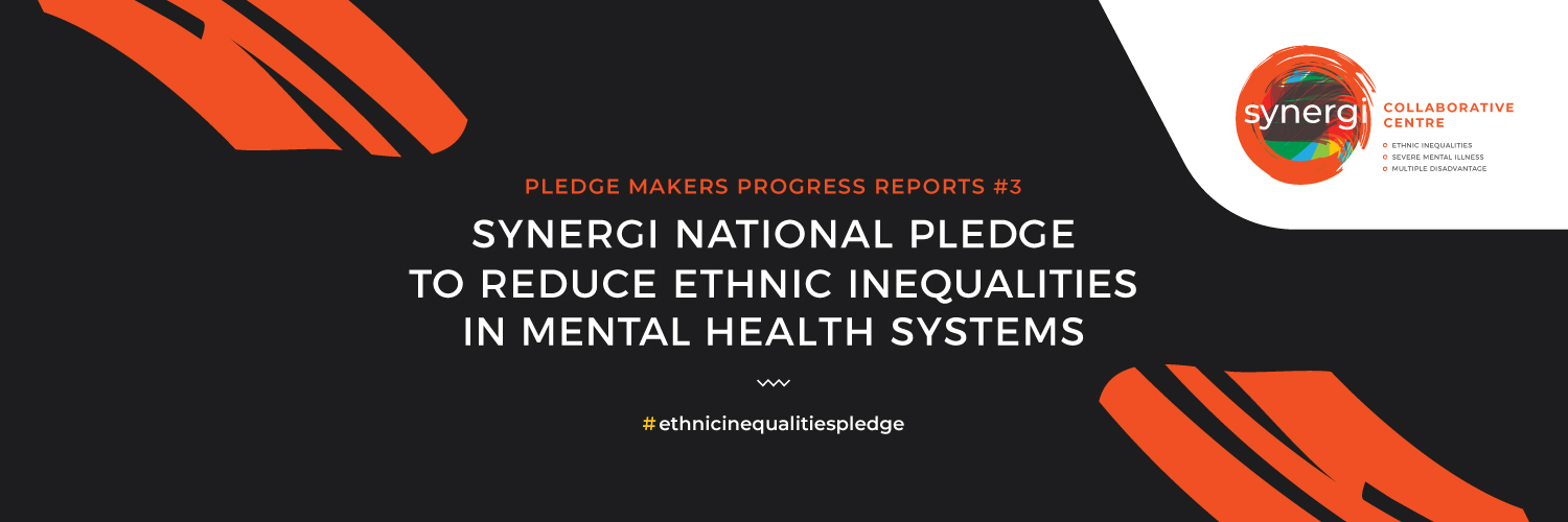 Synergi Pledge Makers Progress Report No: 2 Publication date: Tuesday 22nd November 2021